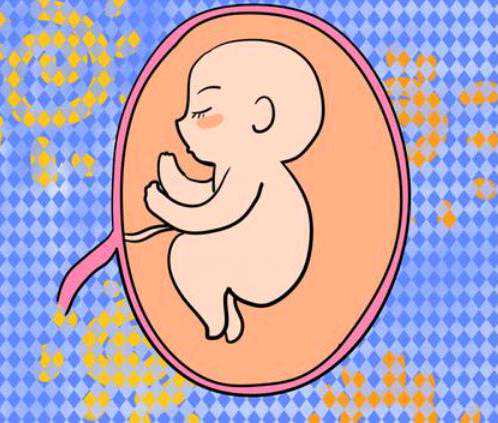 泰国靠谱代生机构,泰国试管双胎男宝经历，附泰国试管婴儿医院试管感受