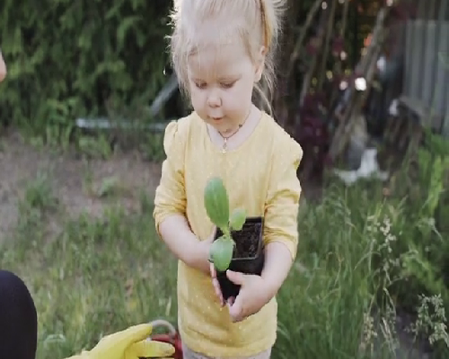 泰国代怀哪家便宜,泰国买精子做三代试管多少钱？