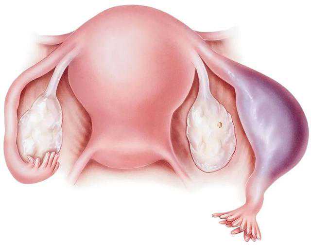 代怀中心,做蚌埠助孕试管婴儿容易成功吗现在?