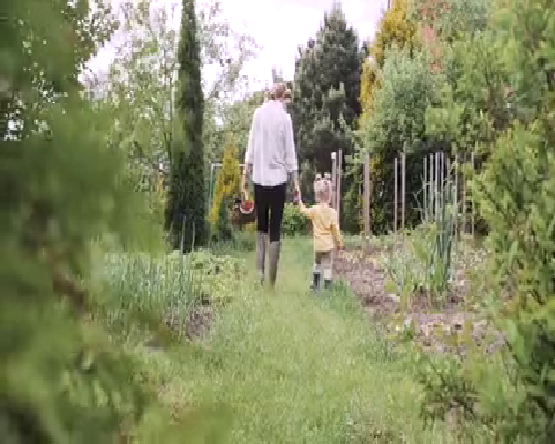 泰国试管代怀生殖,为什么做试管都喜欢去泰国？