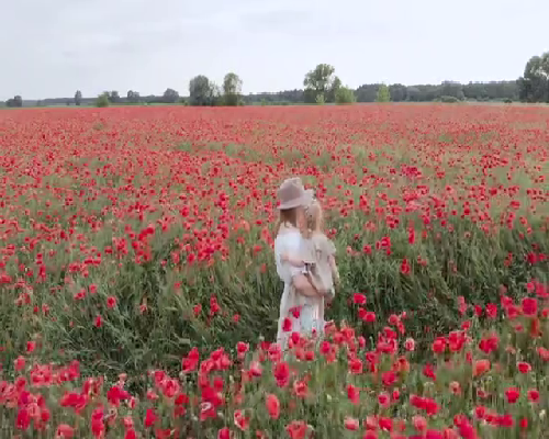 代孕正规靠谱,【喜讯】天津第三方助孕价格