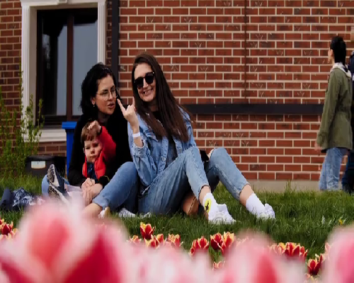 代怀公司机构,鄂州哪里有能做供卵助孕的试管医院？