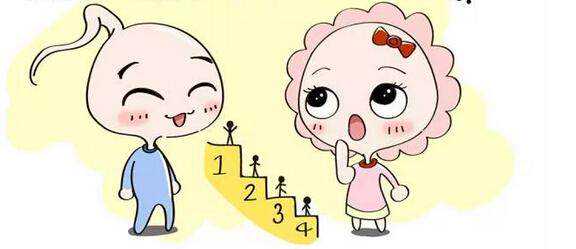 泰国代怀服务咨询,40岁做泰国试管婴儿成功率