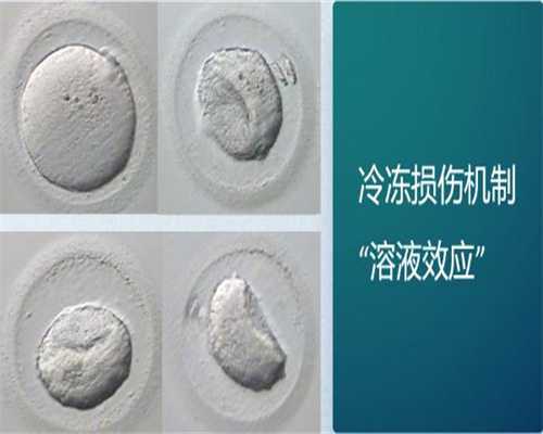 泰国公司代怀产子,金贝泰国试管婴儿详细流程