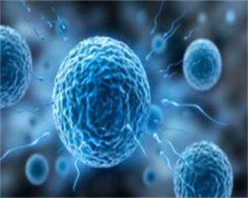 借卵试管助孕,＂什么是易孕＂天津试管助孕医院