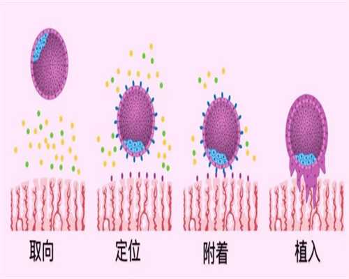 泰国代孕机构包成功,泰国试管婴儿可以要双胞胎吗？